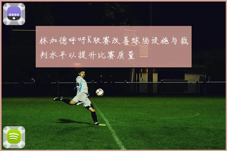 林加德呼吁K联赛改善球场设施与裁判水平以提升比赛质量