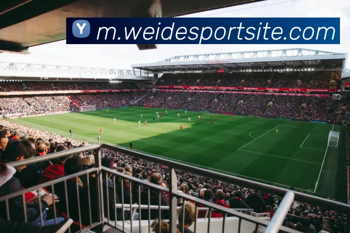 App Interface Preview