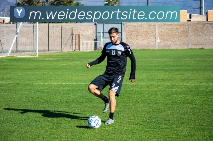 伟德体育APP 封面图